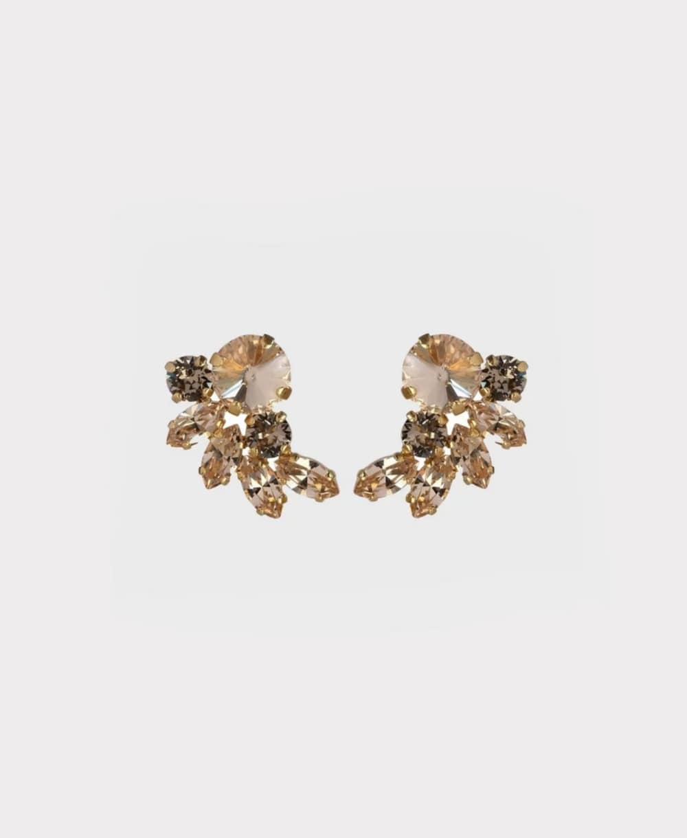 Earrings new